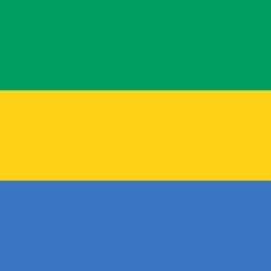 Le Gabon est un pays d’Afrique centrale, situé sur la côte atlantique. Il est bordé par la République du Congo au sud et à l’est, la République centrafricaine au nord et le Cameroun au nord-ouest. La capitale du pays est Libreville, située sur la côte atlantique.