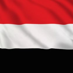 Le Yémen est un pays du Moyen-Orient situé à la pointe sud-ouest de la péninsule arabique. Il possède une superficie de 527 968 km2 et une population estimée à 28,5 millions d’habitants en 2020.