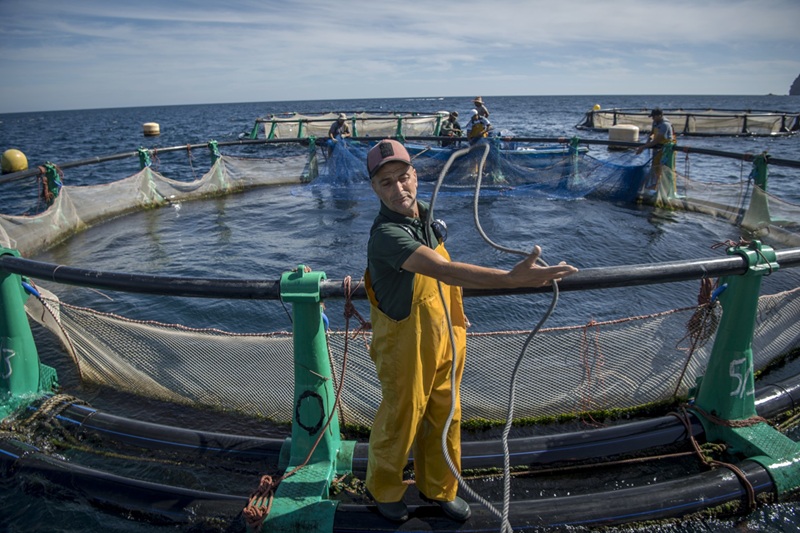 Agadir acteur majeur dans le développement de l’aquaculture marine