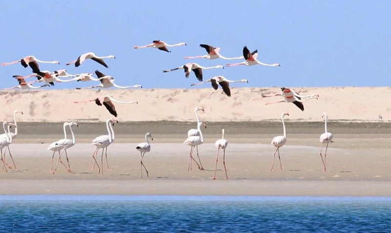 Dakhla La Perle du Sud du Maroc