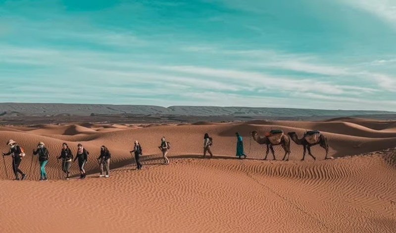 La 11e Édition du Trek des Gazelles