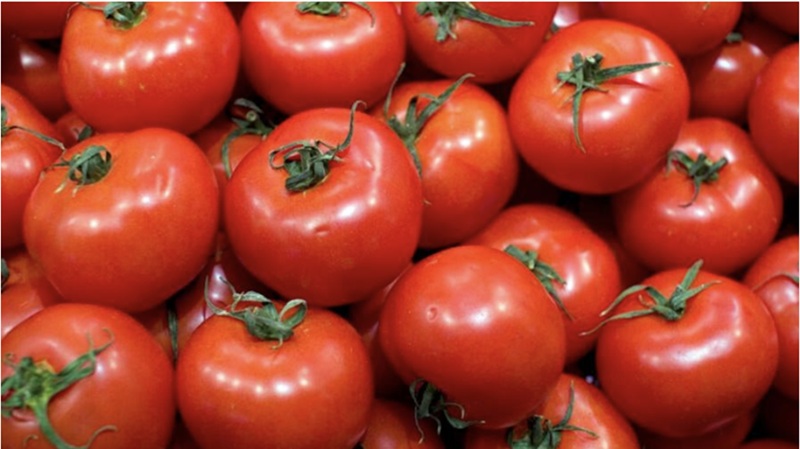 La Tomate Fruit ou Légume, Un Débat Culinaire et Économique au Cœur de la Méditerranée