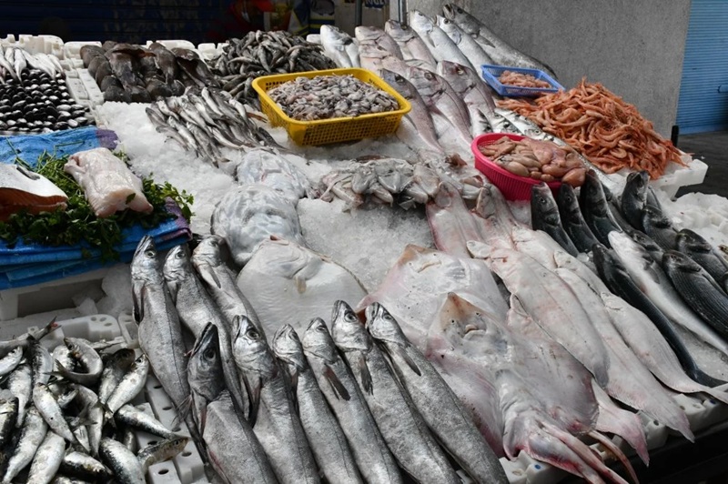 Le Poisson à Prix Raisonnable Un Effort Annuel, mais des Problèmes Profonds