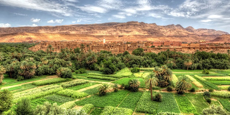 Le Registre National Agricole Déployé à Drâa-Tafilalet