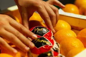 Les Exportations d'Oranges Marocaines Vers l'Allemagne au Point Mort à Cause de la Demande Intérieure Pendant le Ramadan