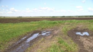 Les Précipitations Tardives Une Bouffée d’Oxygène pour l’Agriculture Marocaine en Crise