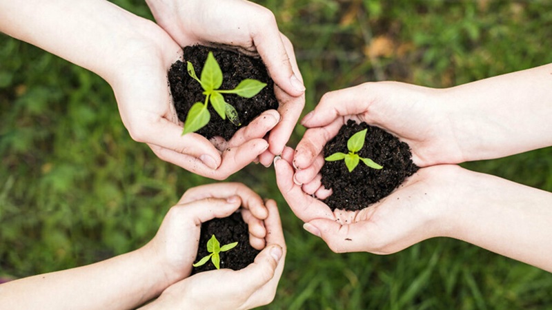 Protection de l’environnement Les initiatives écologiques du Maroc