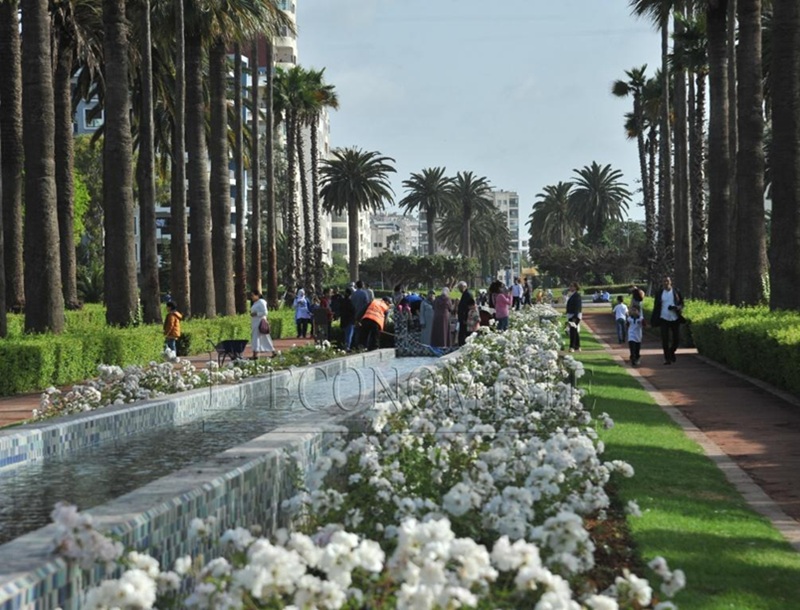 Transformation du Parc de la Ligue Arabe de Casablanca