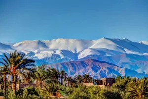 Est-ce une bonne idée d’aller au Maroc Une destination qui coche toutes les cases